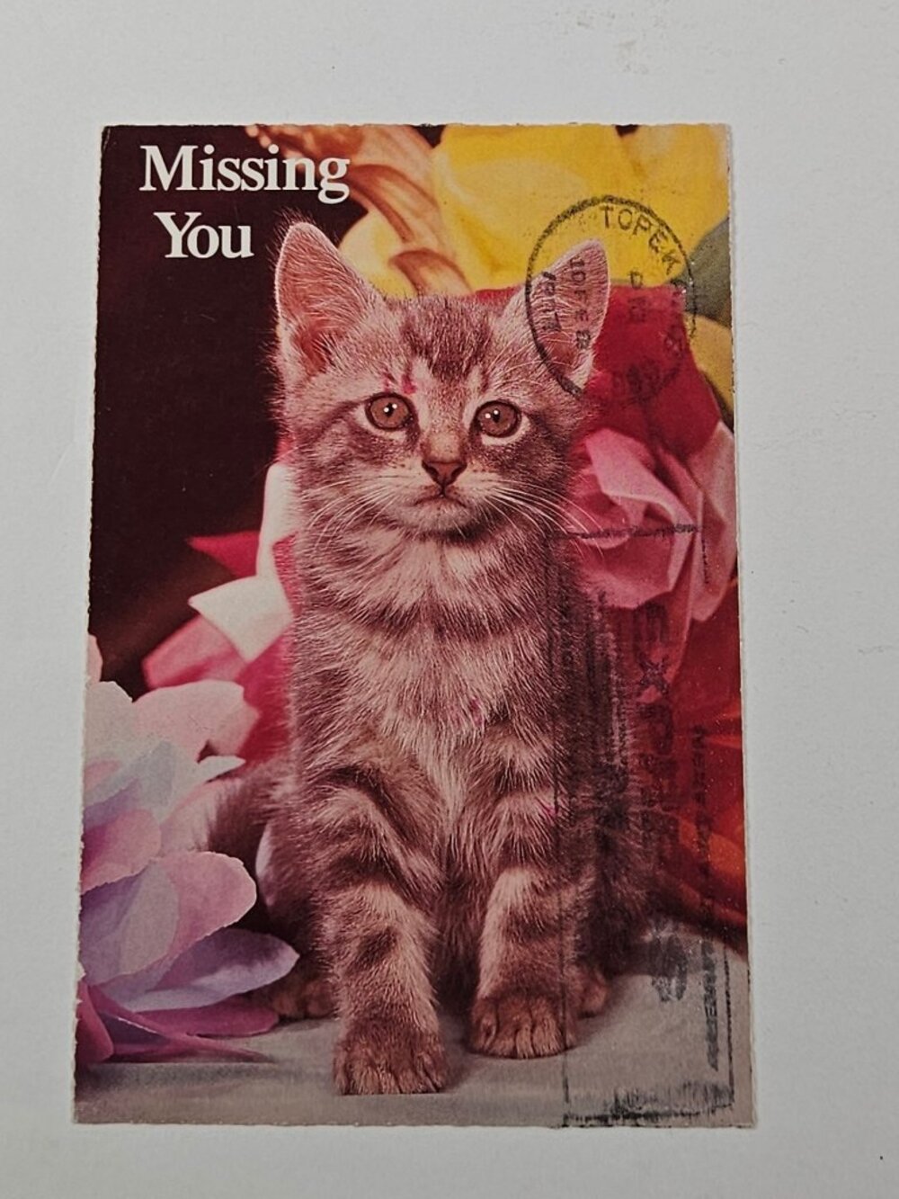 Missing You The North Shore Animal League Postcard